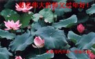 ֹ,󷨵ӹףʦ(22)