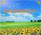 ֹ,󷨵ӹףʦ(24)