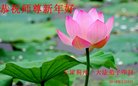 ֹ,󷨵ӹףʦ(24)