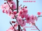 ֹ,󷨵ӹףʦ(24)