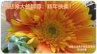 法轮功,河南大法弟子恭祝师尊过年好(30条)