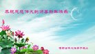 法轮功,保定大法弟子恭祝师尊过年好(20条)