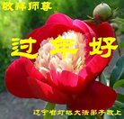法轮功,辽宁大法弟子恭祝师尊过年好(23条)