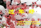 ֹ,󷨵ӹףʦ(30)