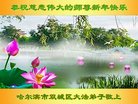 ֹ,󷨵ӹףʦ(26)