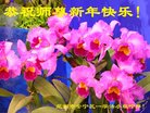 ֹ,󷨵ӹףʦ(20)