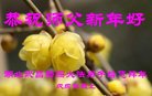 ֹ,󷨵ӹףʦ(33)
