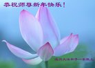 ֹ,㽭󷨵ӹףʦ(20)