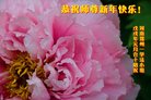 法轮功,郑州大法弟子恭祝师尊过年好(26条)