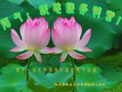 ֹ,󷨵ӹףʦ(26)