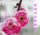 ֹ,󷨵ӹףʦ(33)
