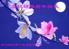 法轮功,四川大法弟子恭祝师尊过年好(22条)