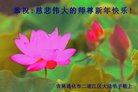 ֹ,ʡ󷨵ӹףʦ(24)