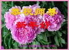 ֹ,д󷨵ӹףʦ(22)