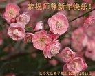 ֹ,ɳ󷨵ӹףʦ(21)
