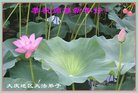 ֹ,󷨵ӹףʦ(22)