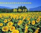 ֹ,󷨵ӹףʦ(21)