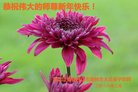 ֹ,󷨵ӹףʦ(23)