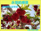 ֹ,󷨵ӹףʦ(24)