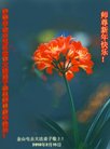 ֹ,󷨵ӹףʦ(23)