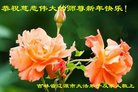ֹ,ʡ󷨵ӹףʦ(20)