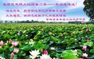 ֹ,ʡ󷨵ӹףʦ(20)