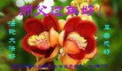 ֹ,󷨵ӹףʦ(23)