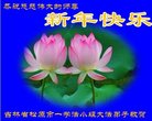 ֹ,ʡ󷨵ӹףʦ(20)