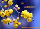 ֹ,֣ݴ󷨵ӹףʦ(26)