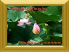 ֹ,ʡ󷨵ӹףʦ(29)