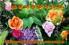 ֹ,󷨵ӹףʦ(22)