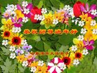 ֹ,󷨵ӹףʦ(22)