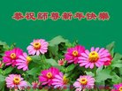 法轮功,哈尔滨大法弟子恭祝师尊过年好(22条)