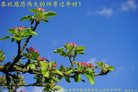ֹ,ɹŴ󷨵ӹףʦ(20)