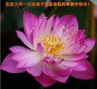 ֹ,󷨵ӹףʦ(26)