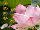 ֹ,ϴ󷨵ӹףʦ(24)