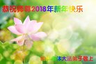 法轮功,锦州大法弟子恭祝师尊过年好(26条)