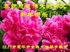 ֹ,㶫󷨵ӹףʦ(29)