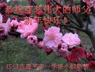 ֹ,㶫󷨵ӹףʦ(29)