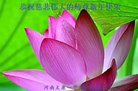 ֹ,ϴ󷨵ӹףʦ(26)