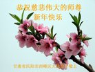 ֹ,󷨵ӹףʦ(20)
