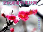 ֹ,Ϋ󷨵ӹףʦ(29)
