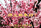 ֹ,󷨵ӹףʦ(18)