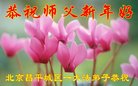 ֹ,󷨵ӹףʦ(18)