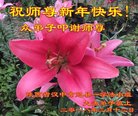 ֹ,󷨵ӹףʦ(18)