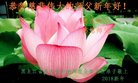 ֹ,󷨵ӹףʦ(22)