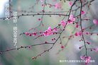 ֹ,󷨵ӹףʦ(25)