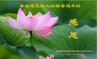 ֹ,󷨵ӹףʦ(29)