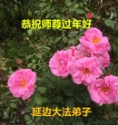 ֹ,ʡ󷨵ӹףʦ(26)
