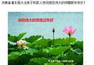 ֹ,ϴ󷨵ӹףʦ(24)